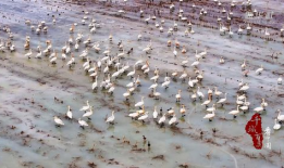 户外露出视频,真实场景下的生活百态